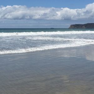 Meet your Posher, Trina